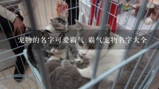 ​宠物的名字可爱霸气 霸气宠物名字大全