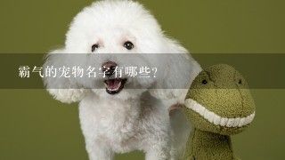 霸气的宠物名字有哪些？