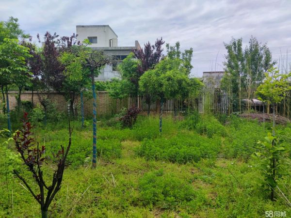 西安畜禽养殖·招租林下养殖土鸡