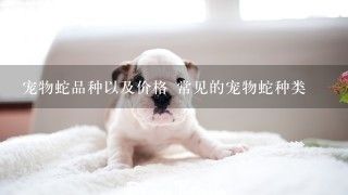 宠物蛇品种以及价格 常见的宠物蛇种类