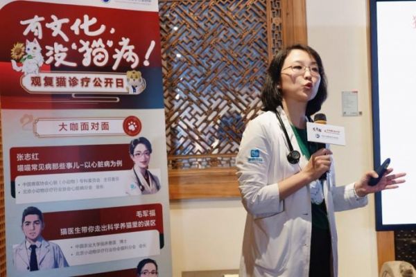 张志红讲解心超在猫咪心脏病筛查中的关键作用