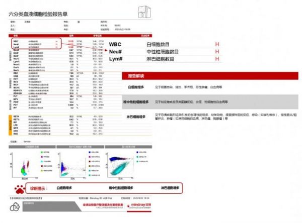 王情圣报告单