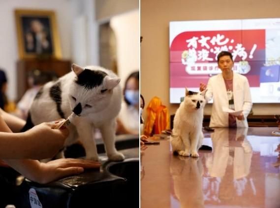 王情圣提前“熟悉”体检流程