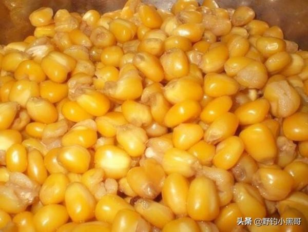 分享野钓鲤鱼的 3 款饵料,高手都知道,这才是钓鲤鱼的好饵