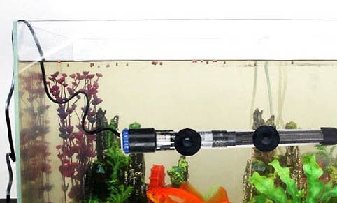 如何改变鱼缸水质