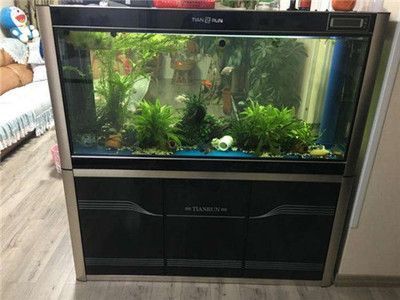 森森底滤鱼缸怎么调节水位 森森鱼缸