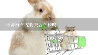 珠海有学宠物美容学校吗