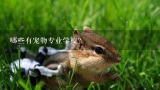 哪些有宠物专业学校？