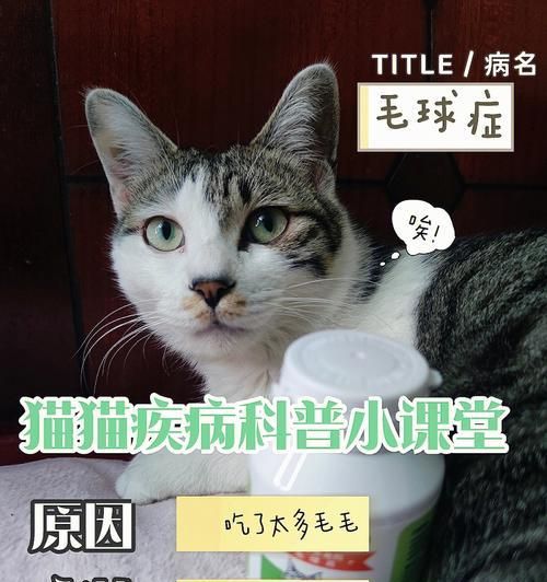 如何判断猫咪是否生病（宠物养护）