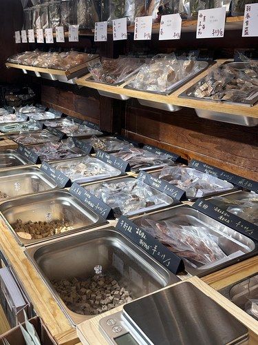长沙『新店』发现一个角落里的毛孩子