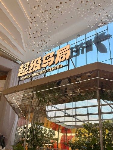 去除班味，今天我和萌宠有个约会…