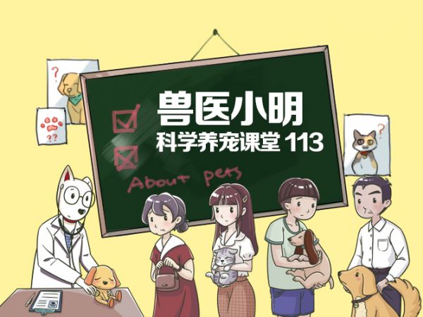 狗狗不小心怀孕，可不可以终止妊娠呢？哪种方法比较靠谱安全 