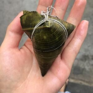 狗狗粽子,宠物粽子的做法 步骤4