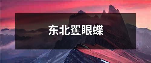 东北矍眼蝶