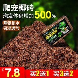 活泼情侣乌龟+龟粮+苔藓+饲养盒