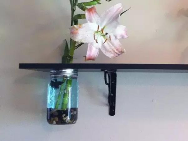 精彩鱼缸设计，好有创意！（四）