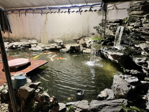自建鱼池过滤系统设计方案分享!看完自己也能操作