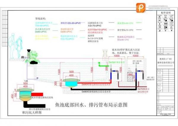 自建鱼池过滤系统设计方案分享!看完自己也能操作