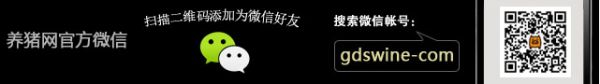 微信号