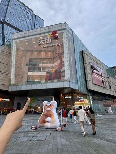 成都！！新开的！！好乖快去！！！