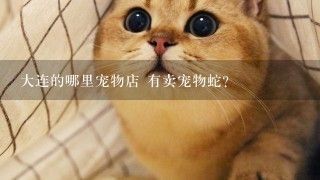 大连的哪里宠物店 有卖宠物蛇？