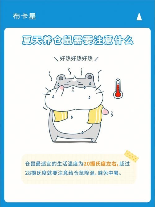 仓鼠中暑严重怎么办，仓鼠中暑严重怎么办吃什么药