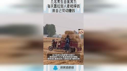几名男生自食其力，每天靠拉别人麦秸挣钱，用自己劳动赚钱！