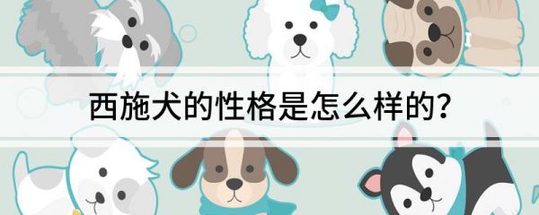 西施犬的性格是怎么样的？