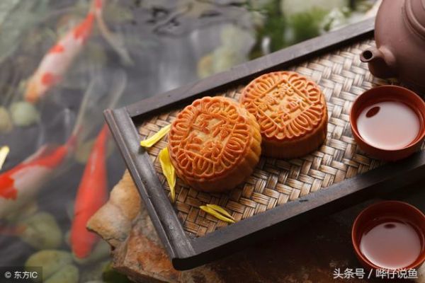 养宠物鱼的男人更长寿，健康比钱更重要——鱼缸里的养生之道