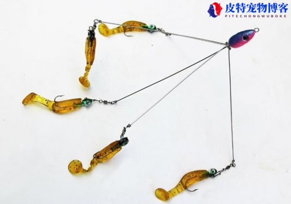 卡罗钓组钓翘嘴手法，操作技巧是什么，路亚各种钓组怎么选择