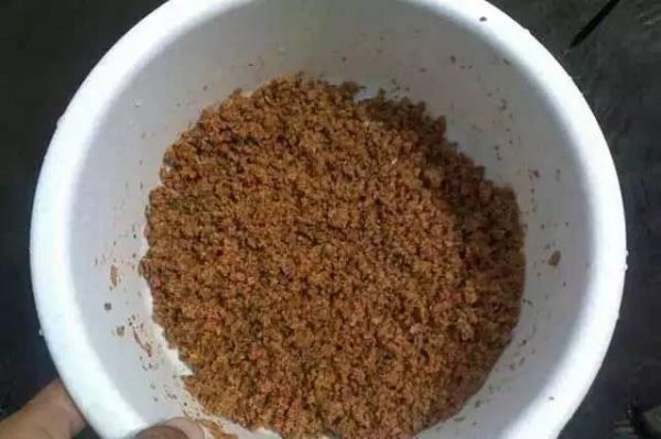 三种鱼饵搭配技巧，冬季必备