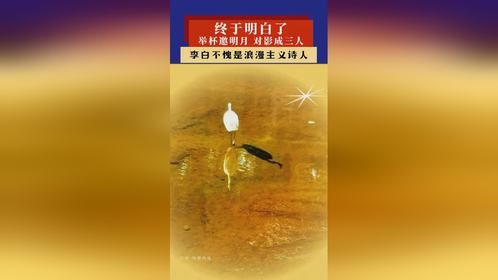 终于明白了，举杯邀明月，对影成三人的意境