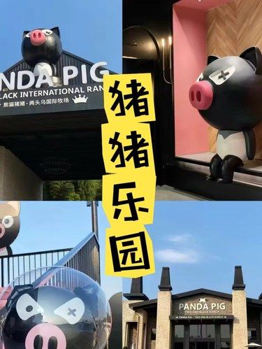超好玩的猪猪乐园，还有人没去过嘛！