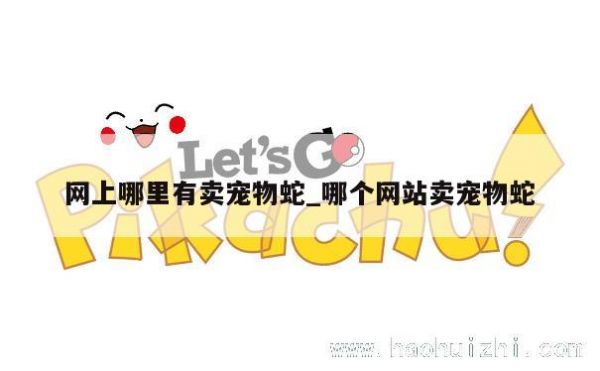网上哪里有卖宠物蛇_哪个网站卖宠物蛇 第1张