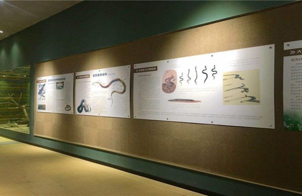 蛇文化展览馆