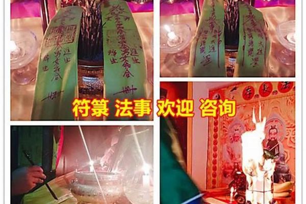眼镜蛇科普