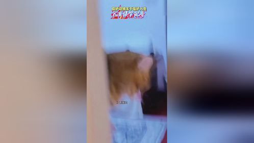 电动车等主人很着急，看一遍笑一遍