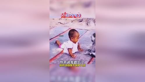 婴儿和猴子到底说什么？