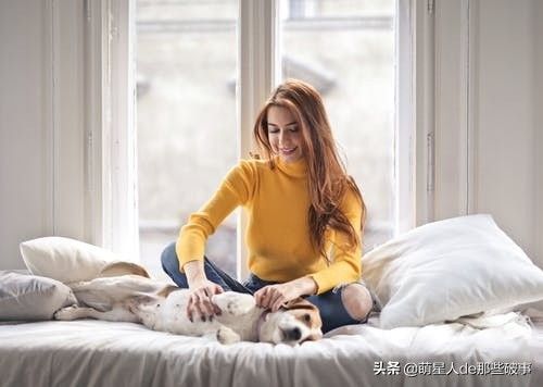 适合女孩子养得 6 种狗狗，每一只都能把你暖哭！