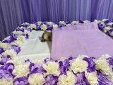 东莞东城狗狗安葬 宠物殡葬服务