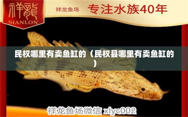 民权哪里有卖鱼缸的（民权县哪里有卖鱼缸的） 海象鱼