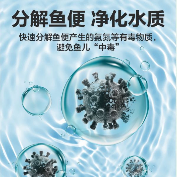 -图2