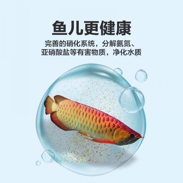 -图3