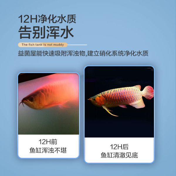 -图2