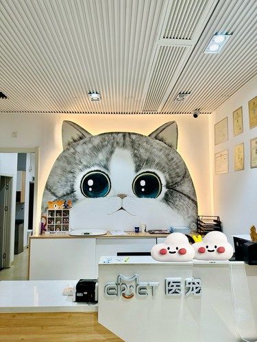 发现猫咪的专属乐园啦！