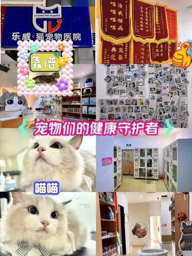 【爱宠健康守护地】【让爱宠更健康】