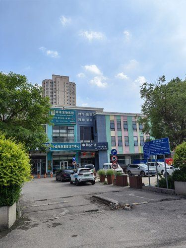 家里狗狗做安乐就是在这
