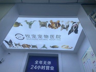 24小时的宠物医院