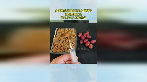 大哥想吃葡萄但是只有葡萄干，掏出神器工具，接下来让人不敢相信