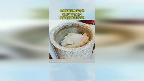 意外发现朋友家宝物，价值20万的太岁，养的水有钱都买不到！